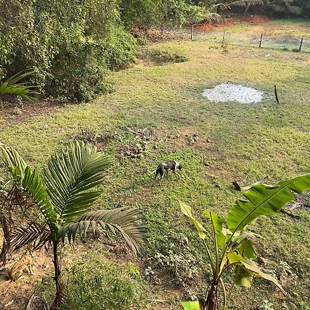 Hostelexp, Gokarna - A Slow-Paced Backpackers Community Eksteriør bilde
