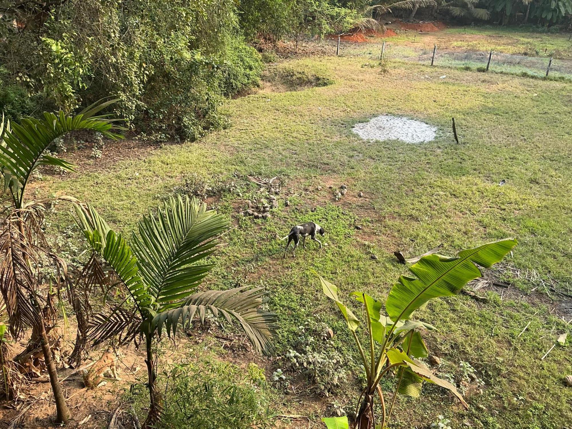 Hostelexp, Gokarna - A Slow-Paced Backpackers Community Eksteriør bilde